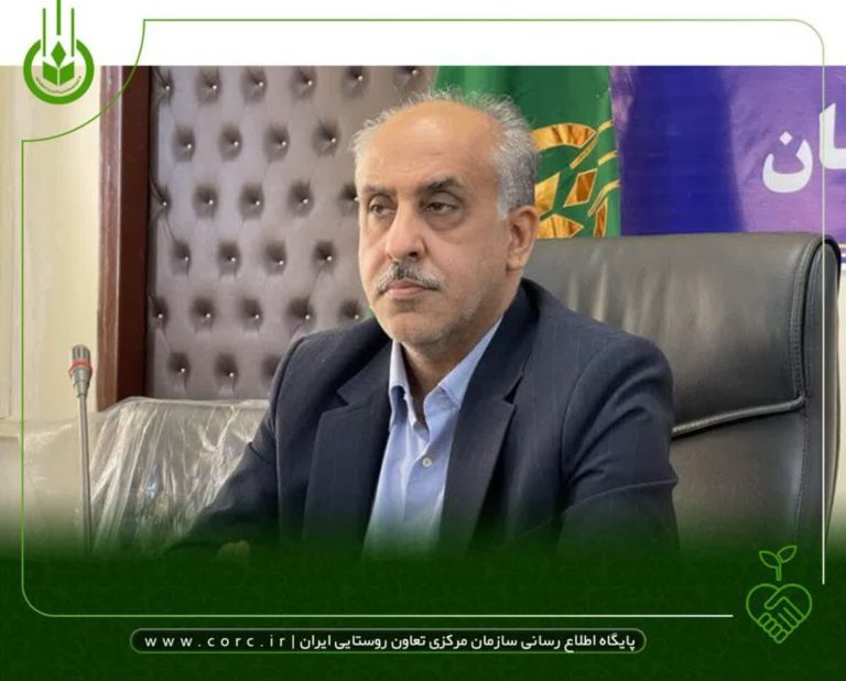 تعاون روستایی گلستان محصول سیب زمینی کاران گرگان را خریداری می‌کند