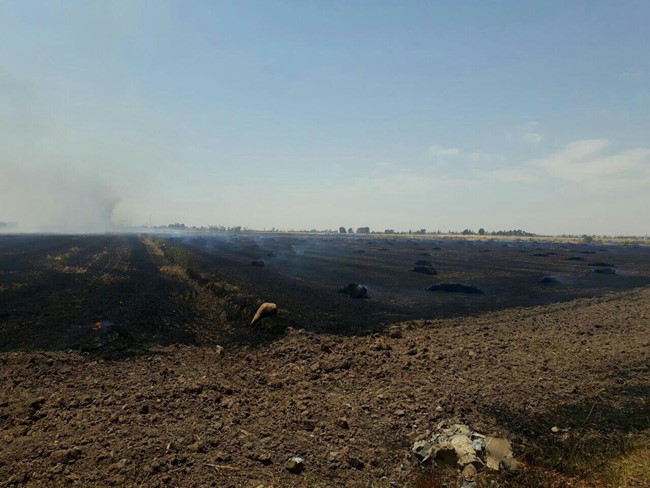 آتش سوزی در مزارع روستای مارانکلاته+ تصاویر