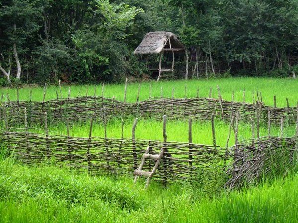 پتانسیل بالای روستاهای علی آباد کتول در ایجاد اشتغال سبز  