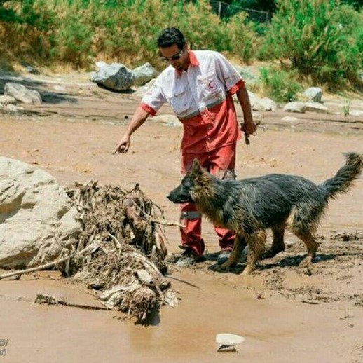 جسد خانم 35 خانواده مفقود در سیل زرین گل پیدا شد/ بارش باران به طور نقطه ای ادامه دارد