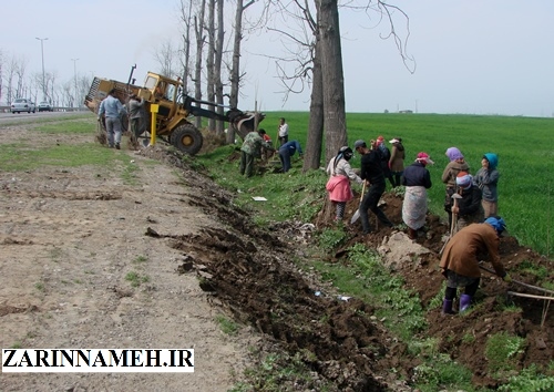 کاشت درخت در محور علی آباد کتول- فاضل آباد/ تصاویر